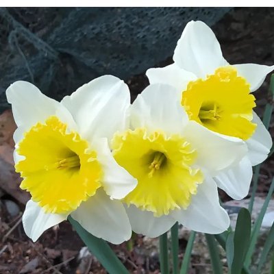 EmineHatunCan1's profile picture. 