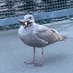 grif (@distraughtsnail) Twitter profile photo grif (@distraughtsnail) Twitter profile photo