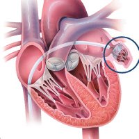 موسىٰ ☤ (@jrshv) 's Twitter Profile