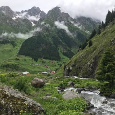 huseyinyegenn's profile picture. Architect