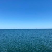 blue ocean(@blueoce91687696) 's Twitter Profile Photo