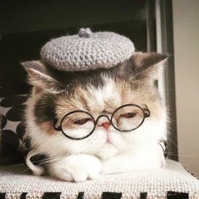 صلوا على النبي🍒💜
https://t.co/yMESMpKL37
مش مسامحة أي بني آدم/ة ي/تاخد قصايدي وت/ينسبها لنفسه/ا🙄
