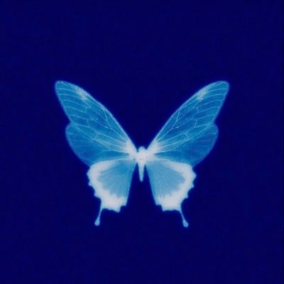 369highvibes's profile picture. 