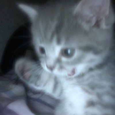 uxvmoz's profile picture. 