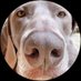 Moronitas (@selvadejade7) Twitter profile photo Moronitas (@selvadejade7) Twitter profile photo