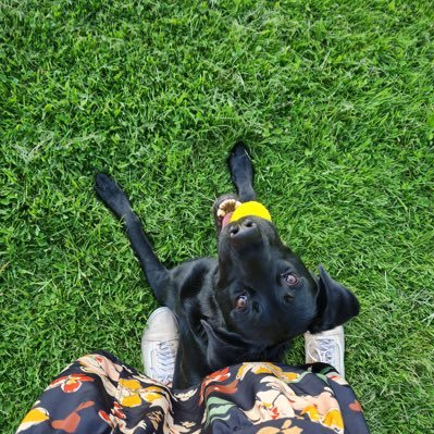 KellyPo35825579's profile picture. 