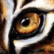 uenr_tigereye's profile picture. The Eye of UENR. We say it as it is. Truth is bitter but heals.