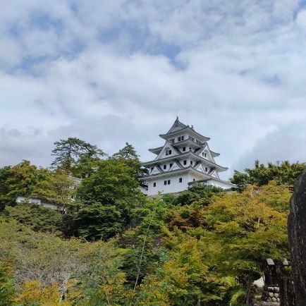 217fujimoto's profile picture. 