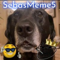 SebasMeme5 (@sebasmeme5) 's Twitter Profile