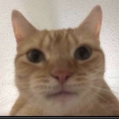 Fred3886's profile picture. 18+. Verfified buyer. buying customs, sessions, and rates. DMs always open. also looking for meets on FL