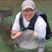 Adam Honig 📈 (@adamhonig) 's Twitter Profile
