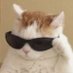 Tomas Sosa (@tomi4441209) Twitter profile photo Tomas Sosa (@tomi4441209) Twitter profile photo