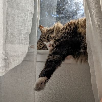 jane088821's profile picture. 