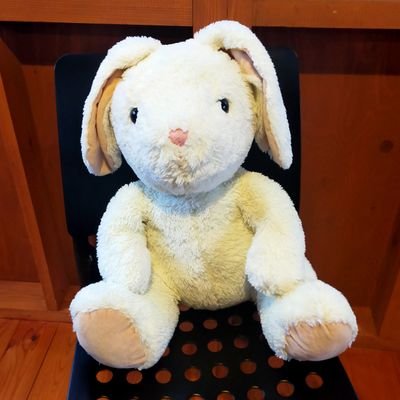 110_lily_'s profile picture. ギテちゃん信者🦟👀