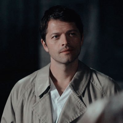 protector of team free will 2.0 | forever in love with cas | fan account | attempting to be multifandom