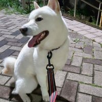 かず (@uwzjdbpdl463533) Twitter profile photo