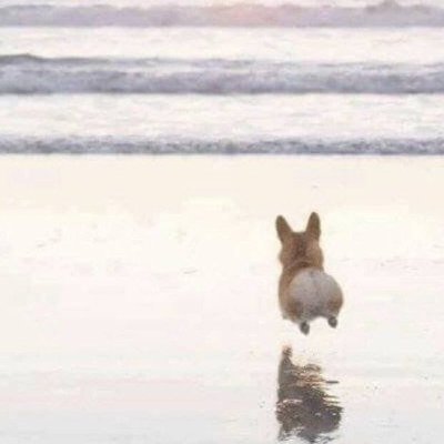 bradlindsay27's profile picture. 