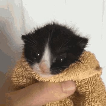 TeamTurnup386's profile picture. Follow me on IG @teamturnup386