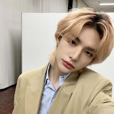 Bang Chan,Lee Know,Changbin,Hyunjin,Han,Felix,Seungmin,I.N