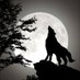 FX-Wolf (@xwolf0009f) Twitter profile photo FX-Wolf (@xwolf0009f) Twitter profile photo