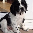 ben fallows - @bootlace2 - Twitter