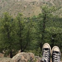 op (@sometimesshine) 's Twitter Profile Photo op (@sometimesshine) 's Twitter Profile Photo