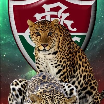 falo de Fluminense Futebol Clube, aposta esportiva, Crypto e jogo do bicho.