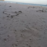 hồ cẩm ❤️ Memecoin (@hcm612) 's Twitter Profile