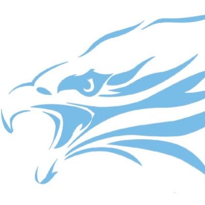 The Official Twitter Account for your Ann Arbor Skyline Eagles Football Program. #BeTheChange #TimeToFly #GoEagles🦅