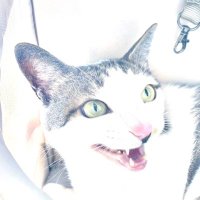 たけ (@takehee323) 's Twitter Profile