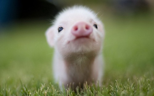 aryjatow's profile picture. Учесь в ГУУ на менеджера.