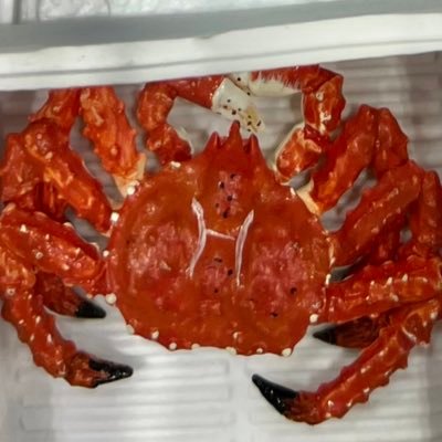 ゆずこ/ふじい🦀🦀🦀🦀🦀🦀🦀🦀さんのプロフィール画像