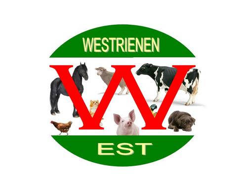 WestrienenEst's profile picture. Alles voor het buitenleven onder 1 dak, volg de laatste nieuwtjes en de scherpste aanbieding met twitter