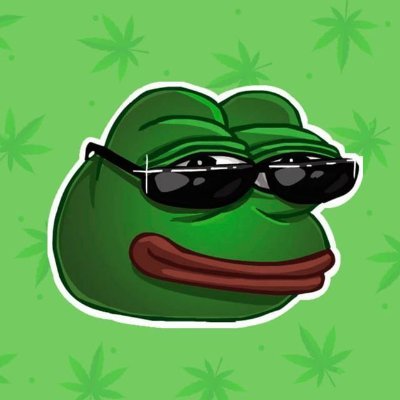New meme coin 100x! 🚀 SAFU - KYC - AUDIT CERTIK 🐸