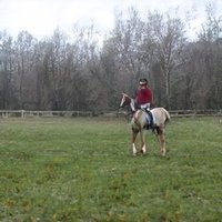 Kotoha🌼＠お互い趣味を共有したい꒰๑•௰•๑꒱ (@amandacart71920) Twitter profile photo