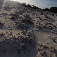 lo he ❤️ Memecoin (@lohe316) 's Twitter Profile