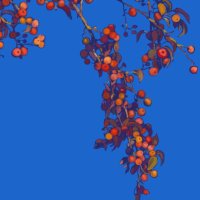 perfumed garden (@alpestrisda) 's Twitter Profile Photo perfumed garden (@alpestrisda) 's Twitter Profile Photo