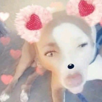 gafiorelli's profile picture. 