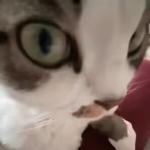 .さんのプロフィール画像