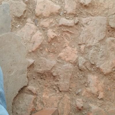 mk7748236's profile picture. 