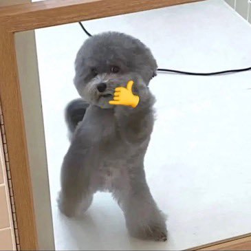 _doomtech's profile picture. 