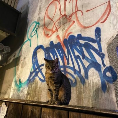 noatrack_best's profile picture. 人生楽しく！部屋はきれいに！のアカウント