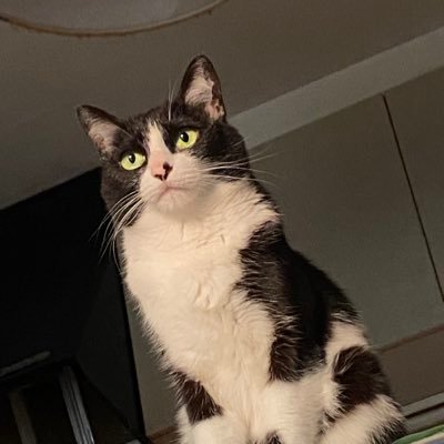 そーみさんのプロフィール画像
