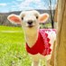 もふり🐑 (@_photo_healing) Twitter profile photo もふり🐑 (@_photo_healing) Twitter profile photo