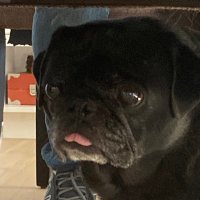 highson1 (@highsonfv) 's Twitter Profile