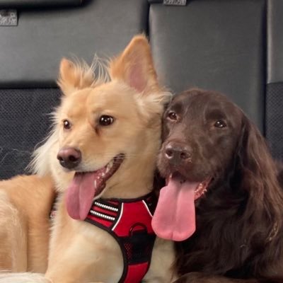 iamThomasKoji's profile picture. ライン変えました