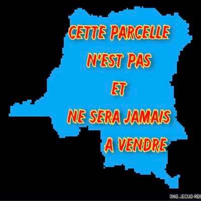 « moi je crois que le Congo va changer »