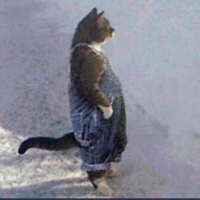 DARG_TD's profile picture. ¨Alea iacta est¨