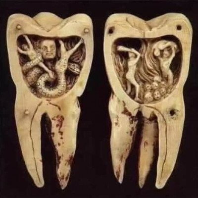 fi13ssa's profile picture. يارب نسألك بشائرًا تُغيث قلوبنا أفراحًا وبهجة