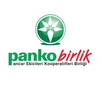 Pankobirlik(@pankobirlik_) 's Twitter Profile Photo